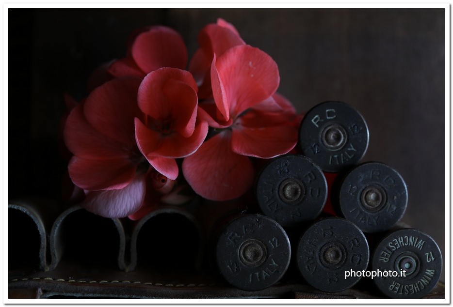 archive_2097