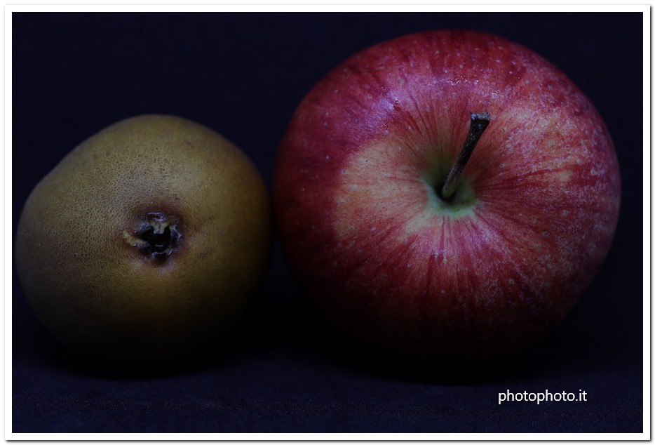 archive_3776
